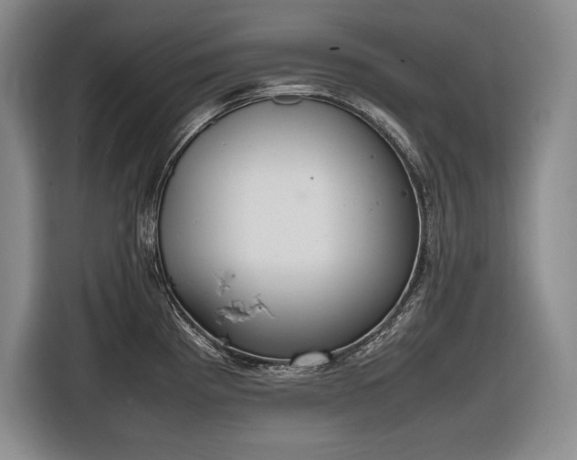 X0000116881193200912221419