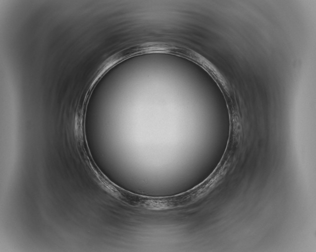X0000116881194200912221419