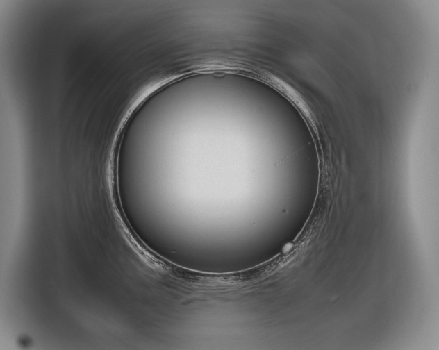 X0000116881195200912221419