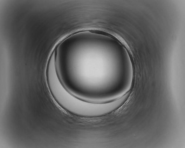 X0000116881197200912221419