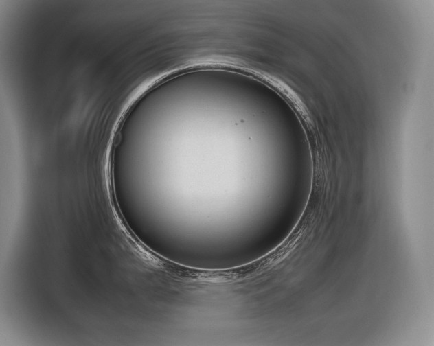 X0000116881199200912221419