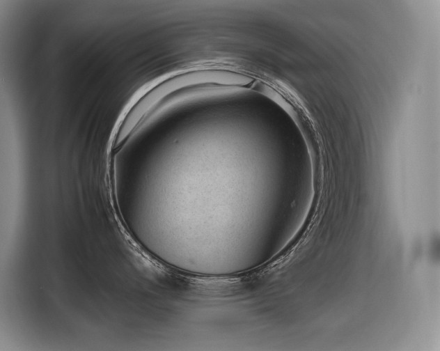 X0000116881200200912221419
