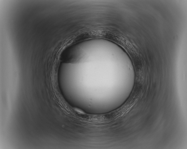 X0000116881201200912221419