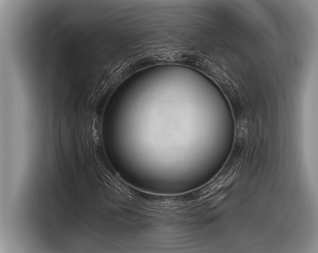 X0000116881202200912221419