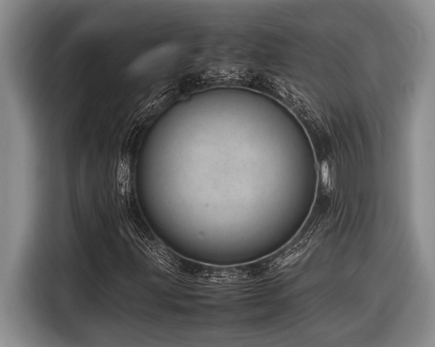 X0000116881203200912221419