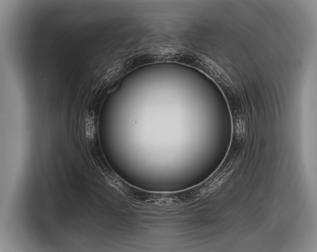 X0000116881204200912221419