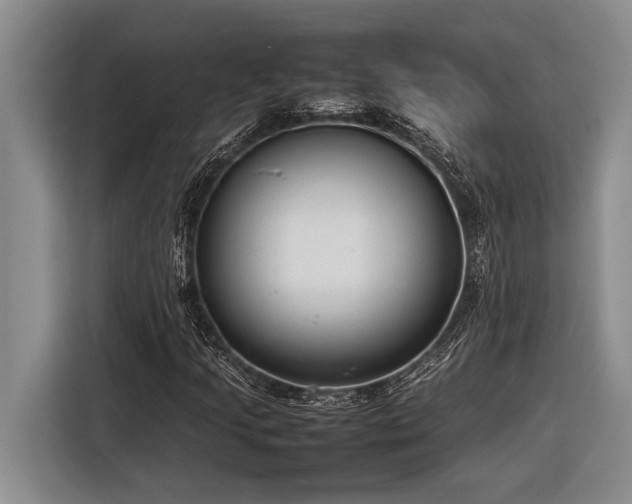 X0000116881205200912221419