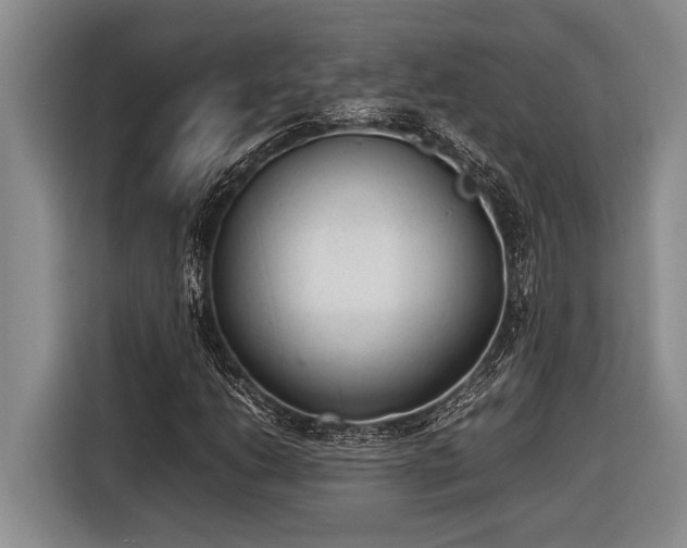 X0000116881206200912221419
