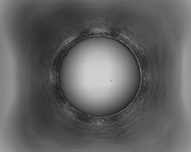 X0000116881207200912221419