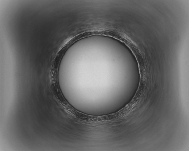 X0000116881208200912221419