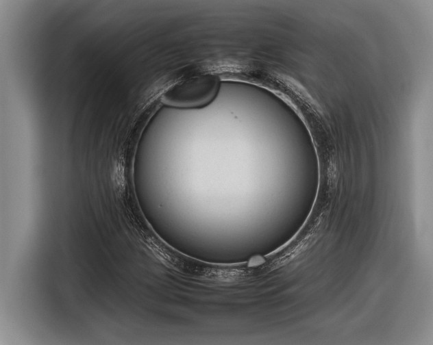 X0000116881209200912221419