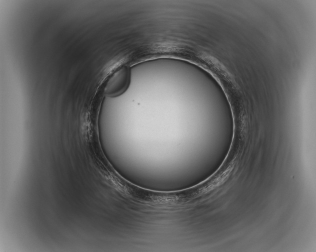 X0000116881210200912221419