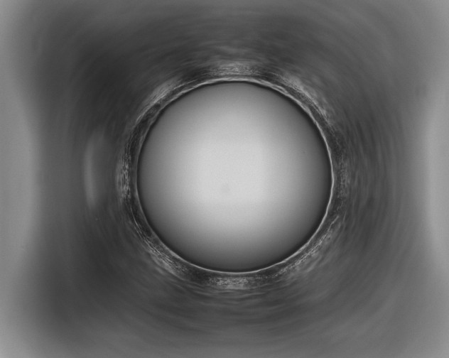 X0000116881211200912221419