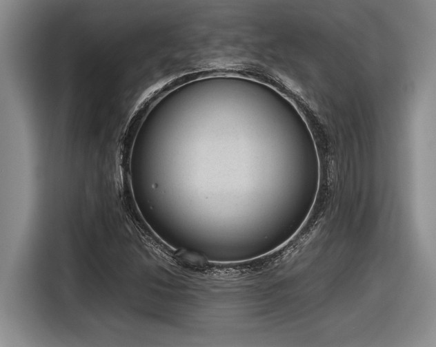 X0000116881214200912221419
