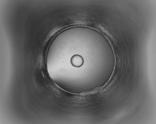 X0000116881215200912221419