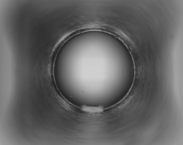 X0000116881216200912221419