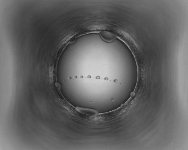 X0000116881217200912221419