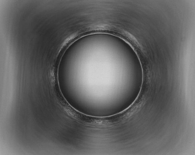 X0000116881218200912221419
