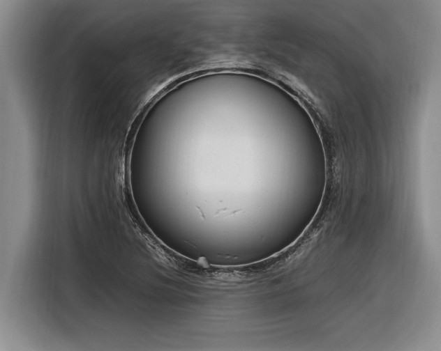 X0000116881220200912221419