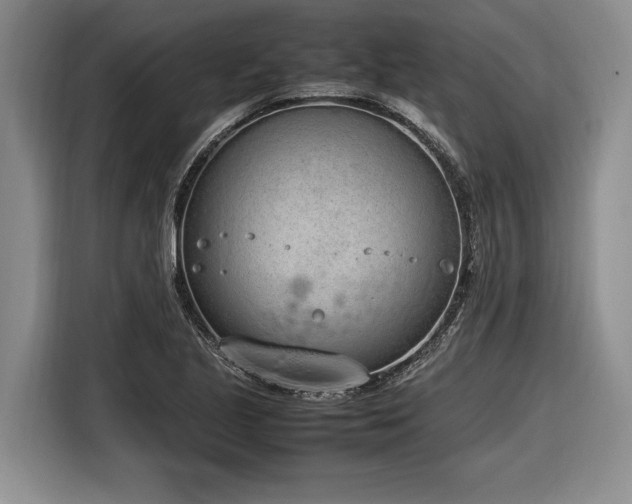 X0000116881221200912221419