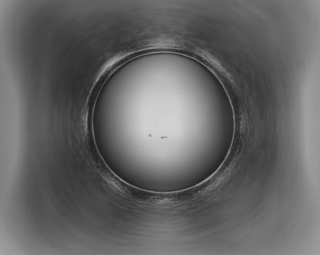 X0000116881222200912221419