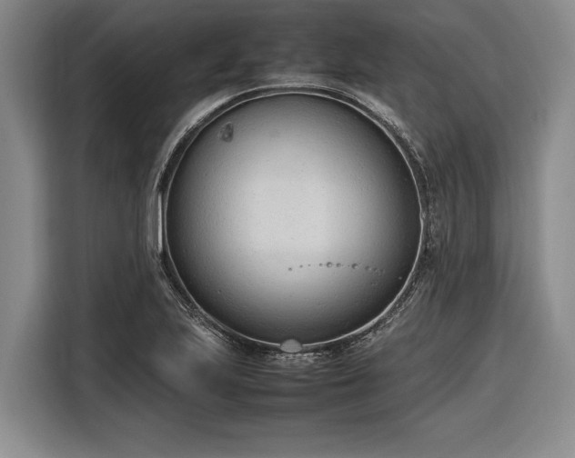 X0000116881223200912221419