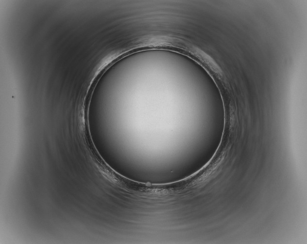X0000116881226200912221419