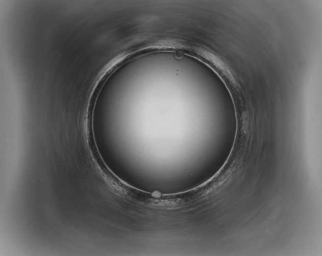 X0000116881229200912221419