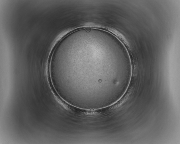 X0000116881231200912221419