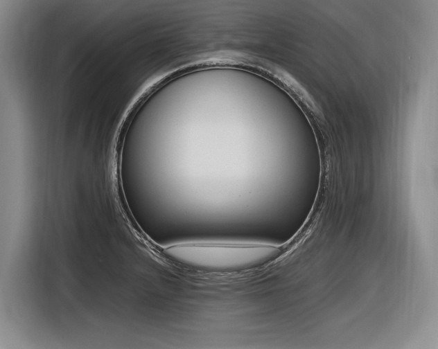 X0000116881232200912221419
