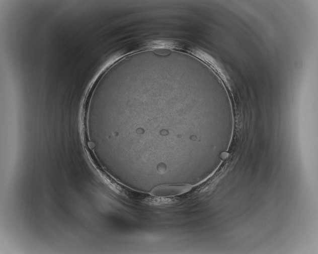 X0000116881235200912221419