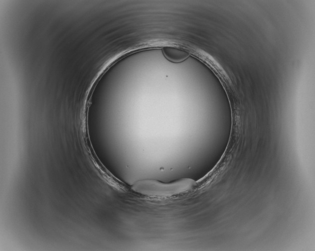 X0000116881236200912221419