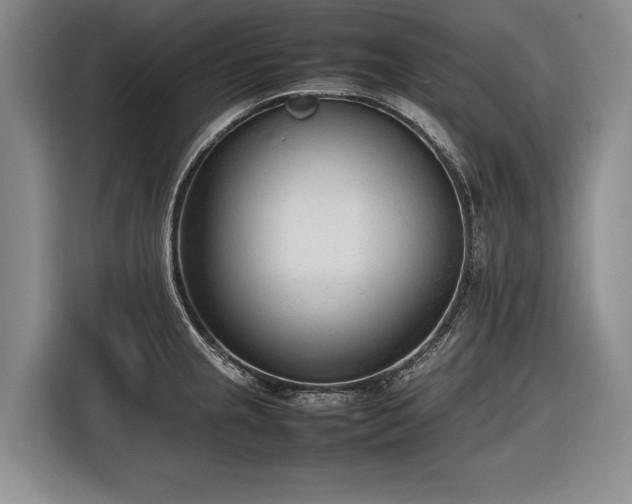 X0000116881237200912221419