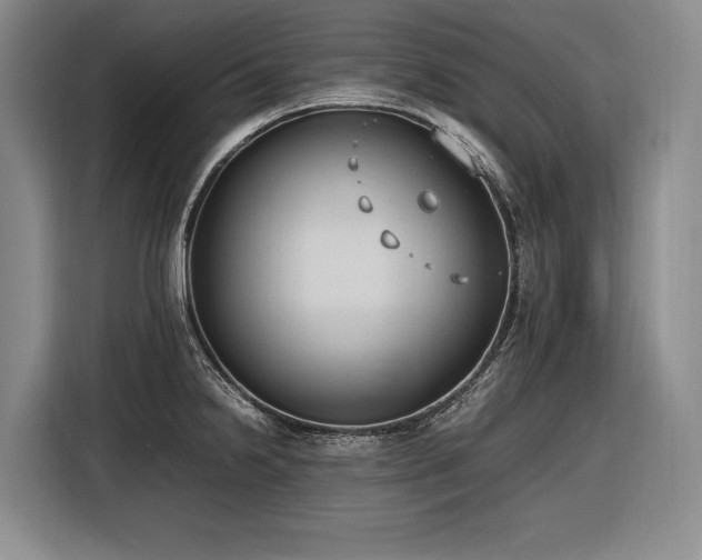 X0000116881238200912221419