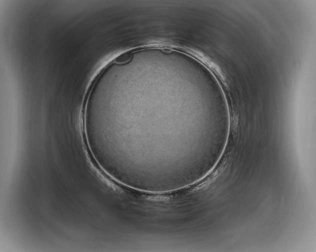 X0000116881239200912221419