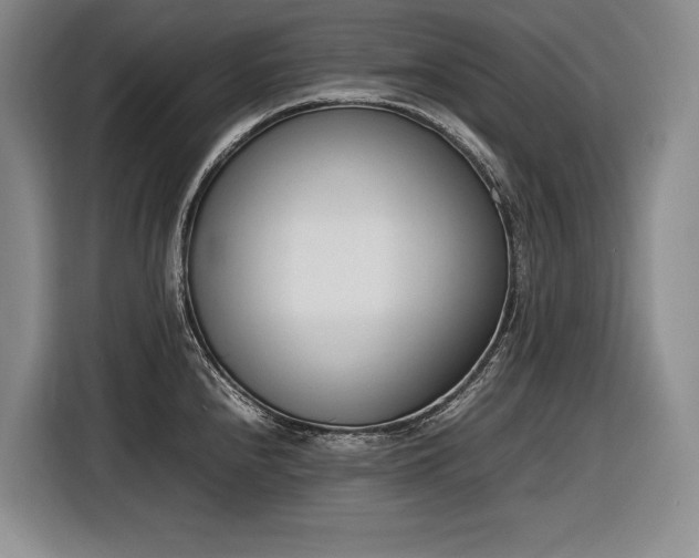 X0000116881240200912221419