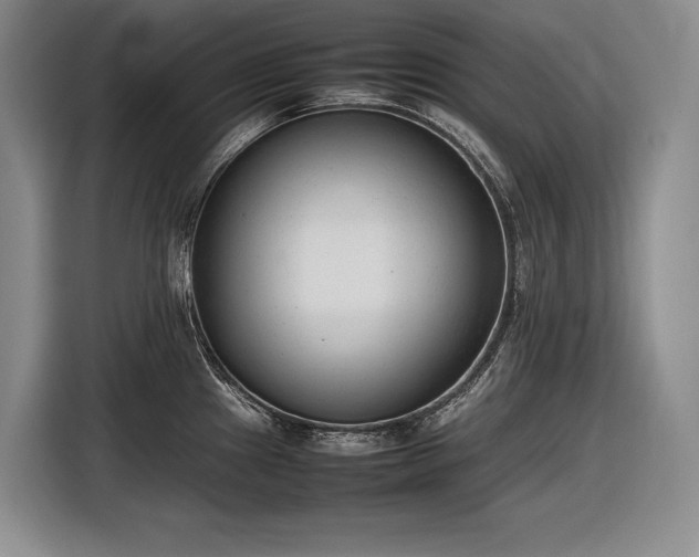 X0000116881241200912221419
