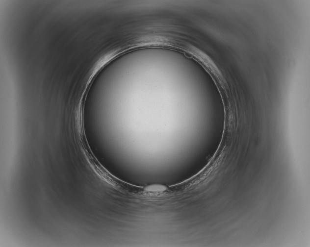 X0000116881242200912221419