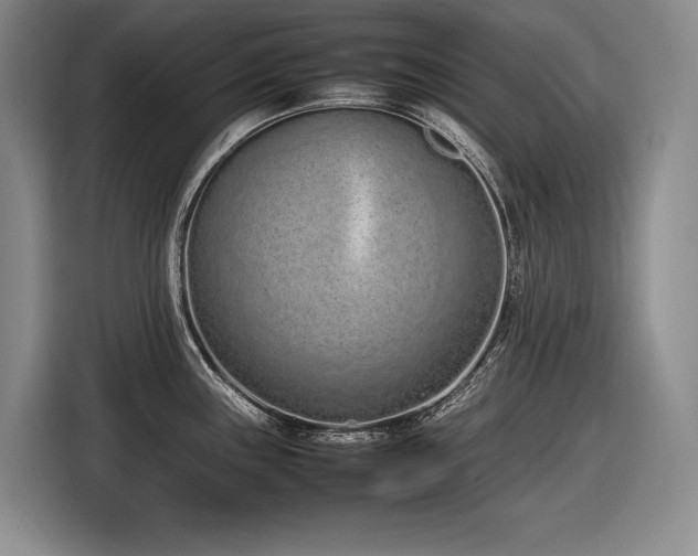X0000116881243200912221419