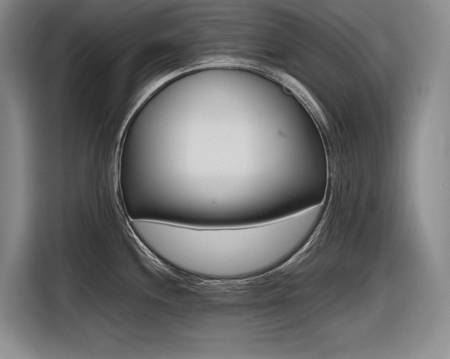 X0000116881244200912221419