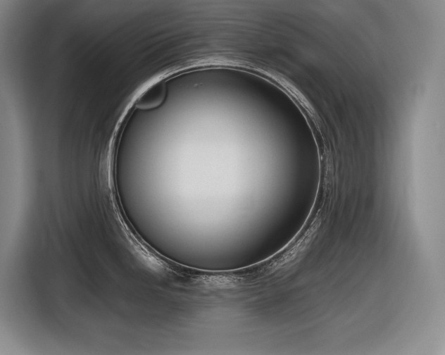 X0000116881246200912221419