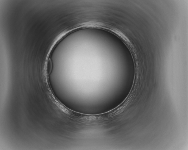 X0000116881248200912221419
