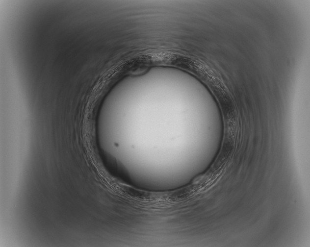 X0000116881249200912221419