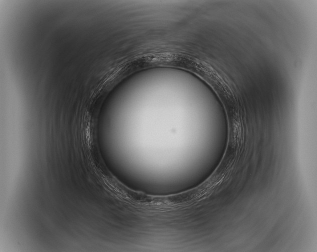 X0000116881250200912221418