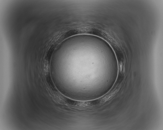 X0000116881251200912221418