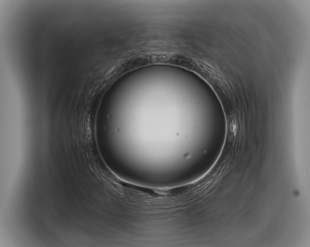 X0000116881252200912221418