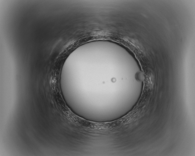 X0000116881254200912221418