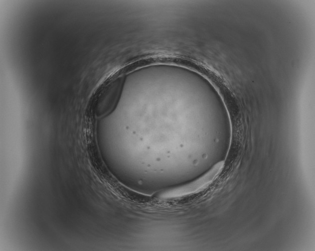 X0000116881255200912221418