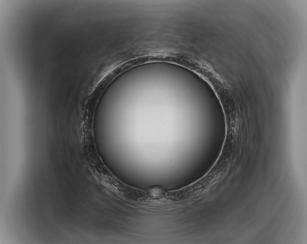 X0000116881256200912221418