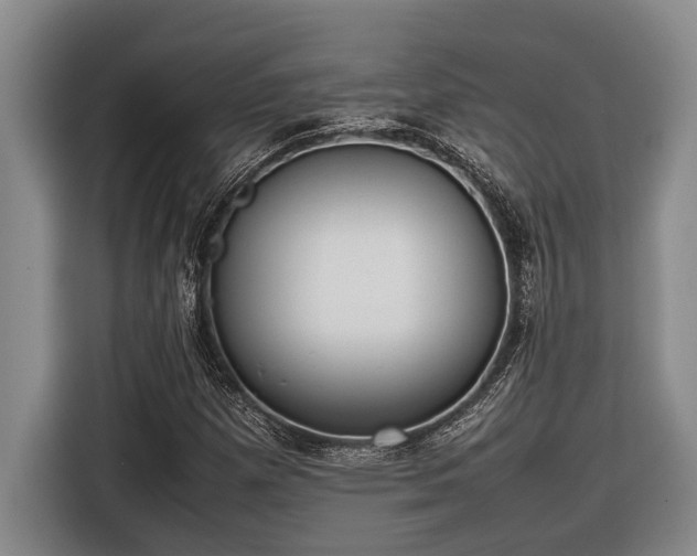 X0000116881257200912221418